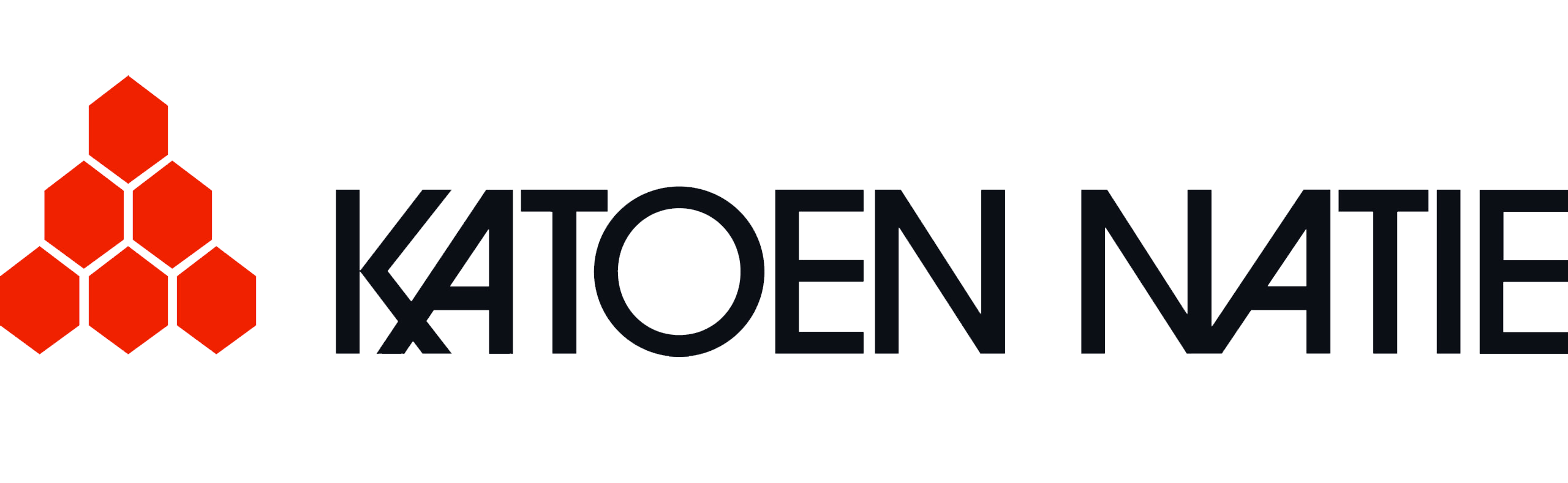 logo katoennatie
